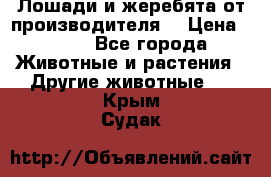 Лошади и жеребята от производителя. › Цена ­ 120 - Все города Животные и растения » Другие животные   . Крым,Судак